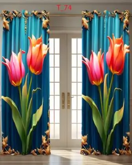 Curtain