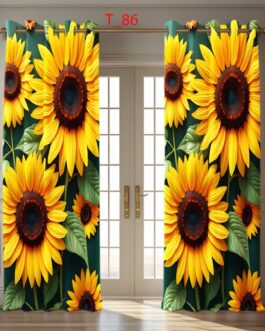 Curtain